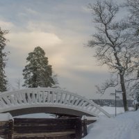 Зимний мостик....... :: Юрий Цыплятников