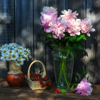 На  даче :: Владимир Гришин