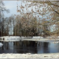 *** :: Aleksandr Gal