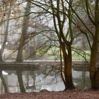 Туманный день :: Юрий. Шмаков