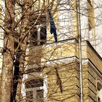 Сюрприз на уровне 4-го этажа. :: Татьяна Помогалова