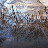 Иду, шагаю по весне под звук капели. :: Татьяна Помогалова