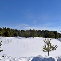 А за городом зима. :: ВикТор Быстров