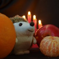 . :: Дмитрий Шароватов