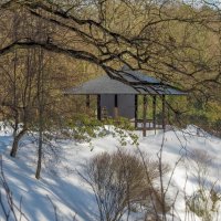 В Японском Садике :: юрий поляков