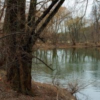 Кузьминский парк :: Игорь Белоногов