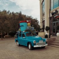 *** :: Елена Алексеева