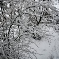 Снежная природа сказка :: סּﮗRuslan HAIBIKE Sevastyanovסּﮗסּ