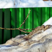 Пробуждение :: Валерий Иванович