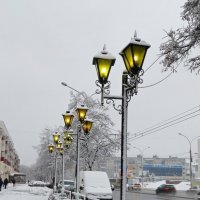 *** :: Лариса С.