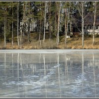 *** :: Aleksandr Gal