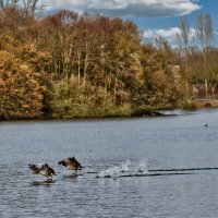 Озеро Липпа :: Jakob Dick