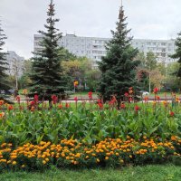 Самара цветочная :: Надежда 