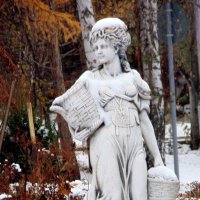 Набрала в корзинки снега. :: nadyasilyuk Вознюк