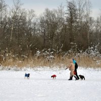 "Веду здоровый образ жизни - для нездорового не хватает денег" :: AleksSPb Лесниченко