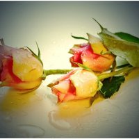 РОЗЫ... :: Elvira E. 