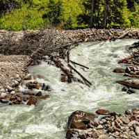 ТАЛГАР :: HART BAD