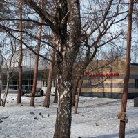 Парк имени Гагарина. :: Радмир Арсеньев