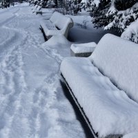 После снегопада :: viktor 