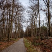 Январский маршрут... :: Николай Гирш