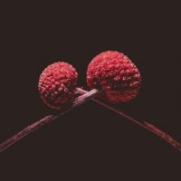 О хзбъятия :: Илья Шенгелия