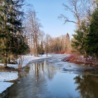 Весна :: Сапсан 