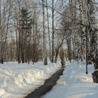 Метровые сугробы в лесу :: Вик Токарев Метровые сугробы в лесу :: Вик Токарев