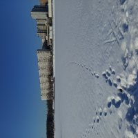 Настоящий март :: Андрей Лукьянов