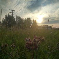 Летний вечер :: Сергей Кочнев