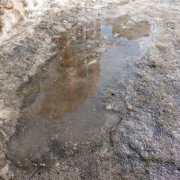 По-весеннему :: Валерий Иванович