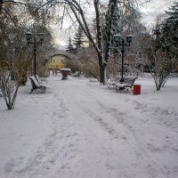 Зимний день :: Роман Савоцкий