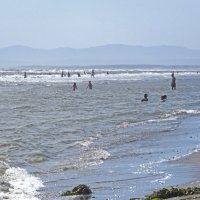 Лето на Сахалине :: ИРЭН@ . Лето на Сахалине :: ИРЭН@ .