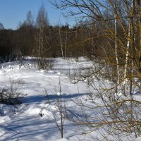 Московская область. Федоскино. :: Наташа *****