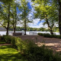 Летнее утро на Крестовском :: Евгений 