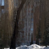 *** :: Валентина Береснева