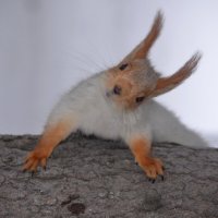 Ну привет, из Омска :: Savayr Ну привет, из Омска :: Savayr