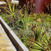 Весна! :: Юрий Гайворонскiий Весна! :: Юрий Гайворонскiий