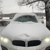 Опять снег :: Savayr 