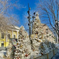 Март. В Москве полно елок) :: Натали 