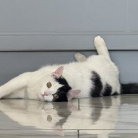 Балетная студия  :: Анна Камс