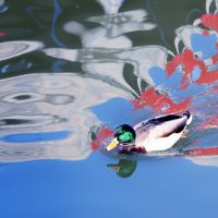 Болотная наб 13 марта :: Михаил Бибичков