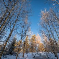 Зимнее небо :: Лилия 