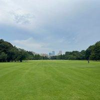 Городские парки Токио :: Николай Соколухин