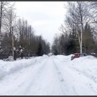 Визит на дачу :: Ольга Довженко