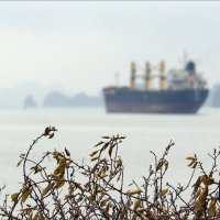 Три долгих гудка в тумане...Гудок 1. :: Валерий Готлиб