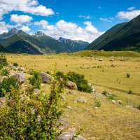 .... :: Михаил Вишняков