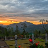 Шри-Ланка. Закат над Чайной плантацией. :: Александр Беляков Шри-Ланка. Закат над Чайной плантацией. :: Александр Беляков