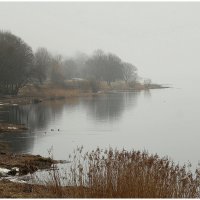 *** :: Aleksandr Gal