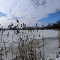 Мартовское небо :: Мария Васильева