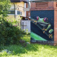 Лягуга :: Валерий Пославский